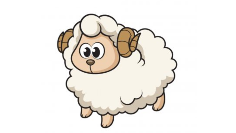 Draw A Sheep