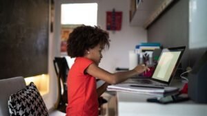 Free and Low-Cost Computers for Low-Income Individuals: Bridging the Digital Divide Free and Low-Cost Computers for Low-Income Individuals: Bridging the Digital Divide